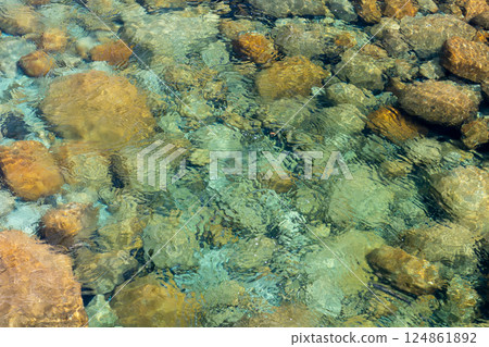 Spring in the Yakushima Offshore Alps (March) Environmental and ecological image 124861892