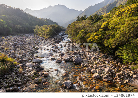 屋久島近海阿爾卑斯的春天（3月） 森林和山谷被新綠點亮 124861974