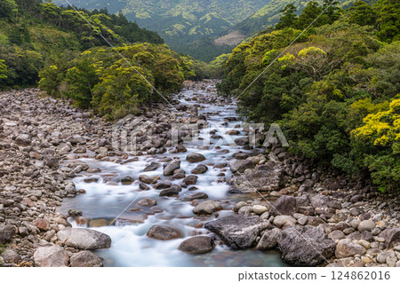 Fresh greenery in Miyanoura River Valley, Yakushima, offshore Alps Fresh greenery in Miyanoura River Valley, Yakushima, offshore Alps 124862016