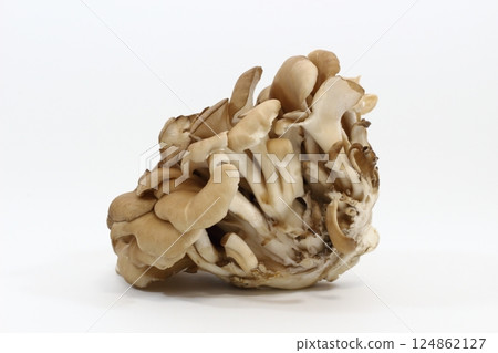 Tilted Maitake Mushroom Tilted Maitake Mushroom 124862127