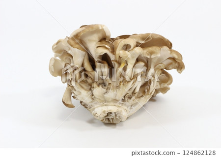 Maitake mushrooms, a simple and striking dish Maitake mushrooms, a simple and striking dish 124862128