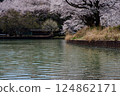 Cherry blossoms at Yagiha Lake Park 124862171
