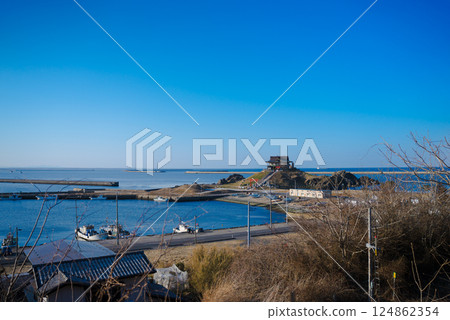 Black-tailed Gulls at Kabushima Shrine and the Blue Winter Sky | Black-tailed Gulls Flying at Kabushima Shrine (Hachinohe, Aomori) 124862354