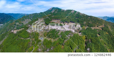 葫蘆櫻花與盛開的櫻花的春日景象 |高知縣仁淀川町 124862446