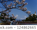 Dragon Park 124862665