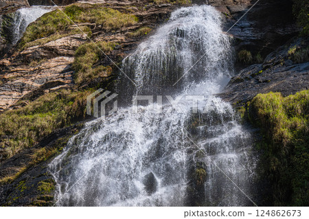 The roaring sound of Okawa Falls, one of Japan's top 100 waterfalls, in Yakushima National Park in spring The roaring sound of Okawa Falls, one of Japan's top 100 waterfalls, in Yakushima National Park in spring 124862673