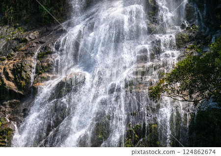 Elegant Okawa Falls, one of Japan's 100 best waterfalls, Yakushima National Park in spring 124862674