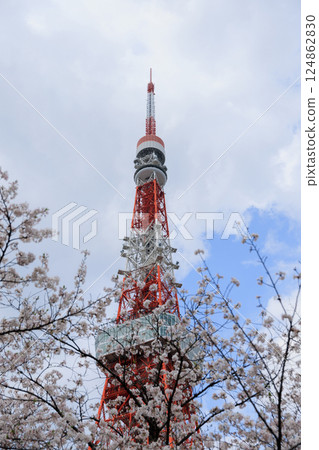 從增上寺和東京鐵塔欣賞櫻花，感受增上的感覺 124862830