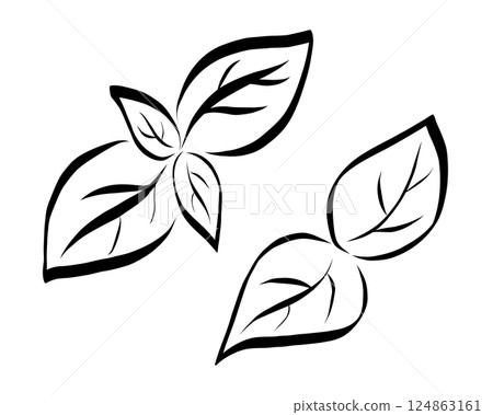 Hand drawn basil leaves. Line icon illustration. Vector illustration 124863161