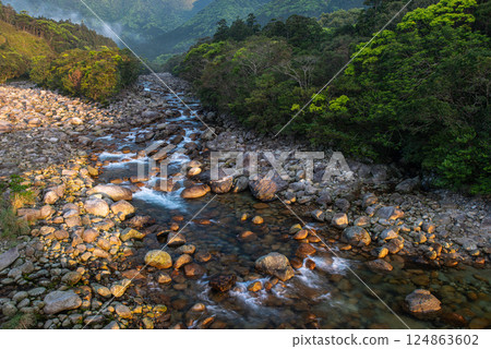 Fresh greenery and the morning sun: Miyanoura River Valley, Yakushima, offshore Alps Fresh greenery and the morning sun: Miyanoura River Valley, Yakushima, offshore Alps 124863602