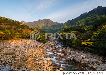 Fresh greenery and the morning sun: Miyanoura River Valley, Yakushima, offshore Alps 124863771