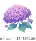 紫色繡球花的簡單插圖 124864180