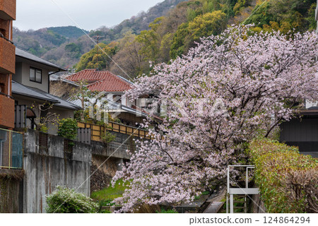鹽谷川 鹽谷川 124864294