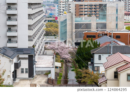 鹽谷川 124864295