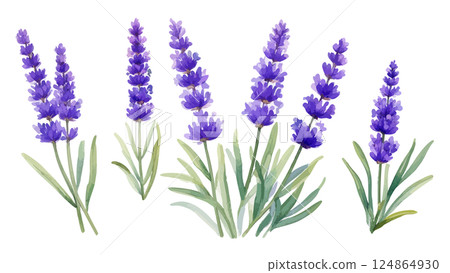 水彩薰衣草插畫AI生成 124864930