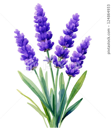 Watercolor lavender illustration AI generation 124864933
