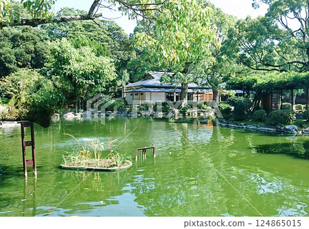 宗像大社有一個大池塘！參拜神社時請務必順便參觀一下。 124865015