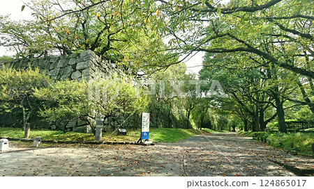 不太受歡迎的福岡城遺址非常適合散步！ 124865017