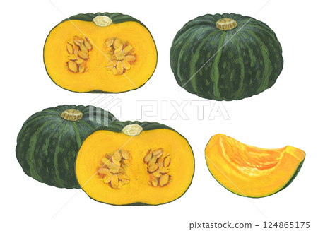 Pumpkin illustration set 124865175