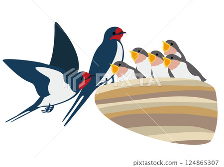 Vector illustration set of swallow chicks and parents begging for food 124865307