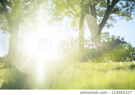 清晨公園的閃亮影像 清晨公園的閃亮影像 124865327