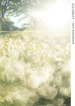 清晨公園的閃亮影像 124865329