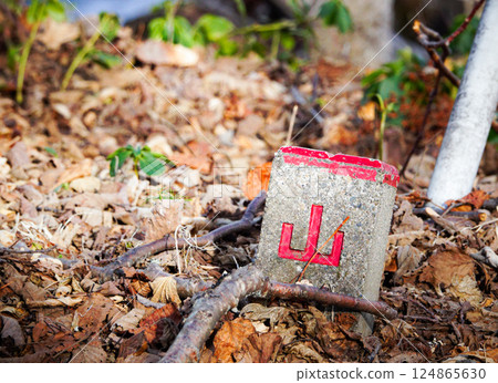 A concrete boundary marker with mountain letters buried inside a national park A concrete boundary marker with mountain letters buried inside a national park 124865630