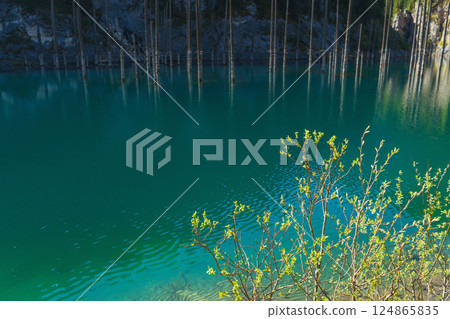 lake kaindy with cold icy water. mountain lake in kazakhstan lake kaindy with cold icy water. mountain lake in kazakhstan 124865835