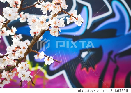 Cherry Blossom Branch with Vibrant Graffiti Background in Urban 2000s Style 124865896