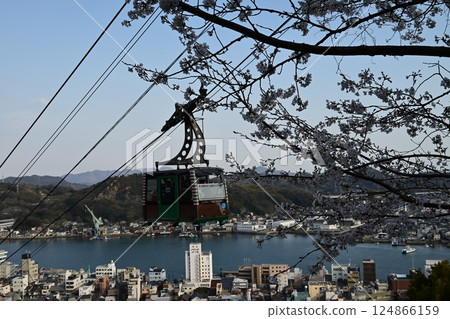 Sakura Ropeway 124866159