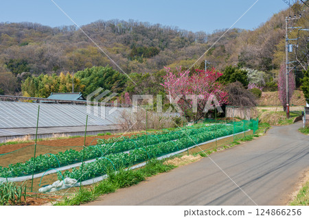 Rural scenery of Tsurumaki Onsen: A tranquil spring scene 124866256