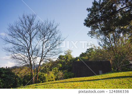 landscape and travel concept with sunlight and cloudy sky with country house on mountain 124866336