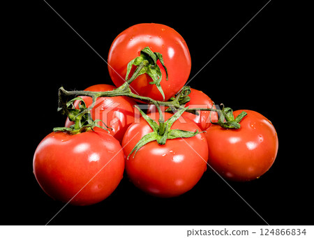 Fresh Tomatoes on the Vine with Black Background 124866834