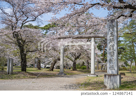 First Torii Gate of Saitama Prefecture Gokoku Shrine 124867141
