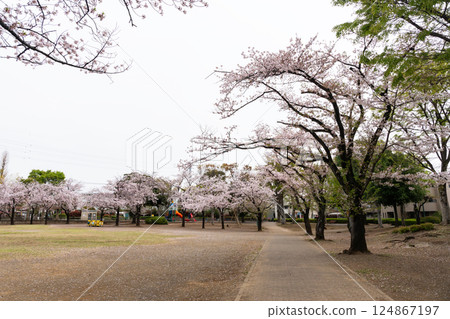 Playground equipment at Fuchu Park, Spring sky, Fuchu-cho 2-chome, Fuchu-shi, Tokyo Playground equipment at Fuchu Park, Spring sky, Fuchu-cho 2-chome, Fuchu-shi, Tokyo 124867197