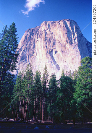 優勝美地公園的酋長岩 124867203