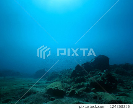 Deep sea floor materials - Stock Illustration [124868236] - PIXTA
