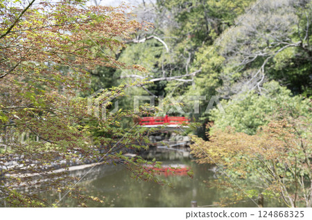 The bridge over the sacred pond in the grounds of Omiya Hikawa Shrine The bridge over the sacred pond in the grounds of Omiya Hikawa Shrine 124868325