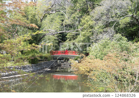 The bridge over the sacred pond in the grounds of Omiya Hikawa Shrine The bridge over the sacred pond in the grounds of Omiya Hikawa Shrine 124868326