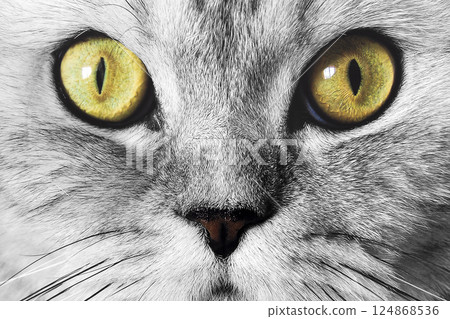 Muzzle cat closeup Muzzle cat closeup 124868536