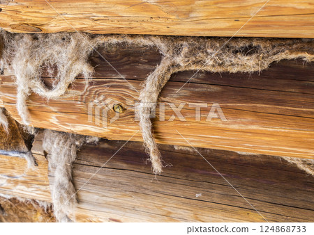 Part of the old log building construction 124868733