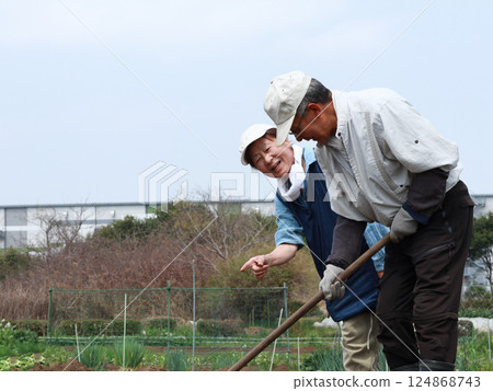 Senior couple in a vegetable garden Senior couple in a vegetable garden 124868743