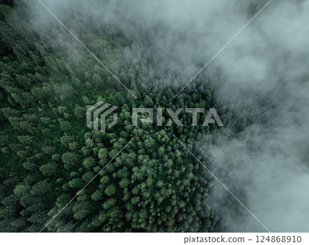 Aerial view of beautiful high altitude forest mountain landscape Aerial view of beautiful high altitude forest mountain landscape 124868910