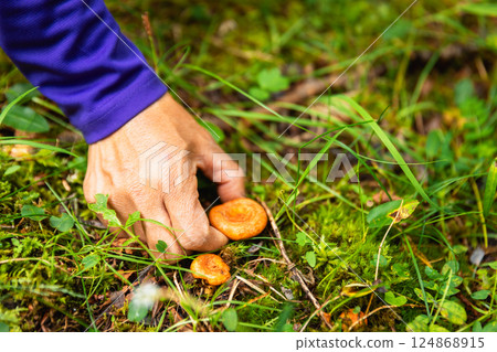 Hand picking mushroom in forest 124868915
