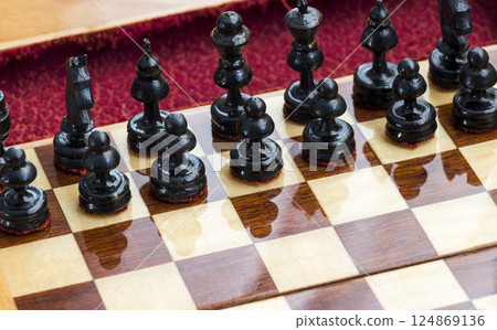 Chess pieces on the field Chess pieces on the field 124869136