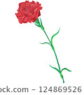 Carnation  124869526