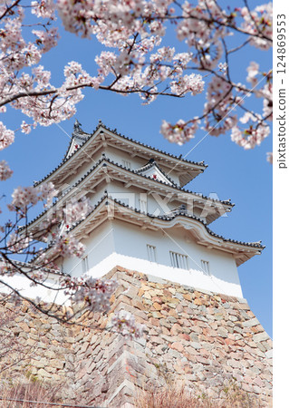 Akashi Castle, Akashi City, Hyogo Prefecture, where the cherry blossoms are in full bloom Akashi Castle, Akashi City, Hyogo Prefecture, where the cherry blossoms are in full bloom 124869553