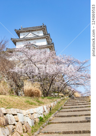 Akashi Castle, Akashi City, Hyogo Prefecture, where the cherry blossoms are in full bloom Akashi Castle, Akashi City, Hyogo Prefecture, where the cherry blossoms are in full bloom 124869583