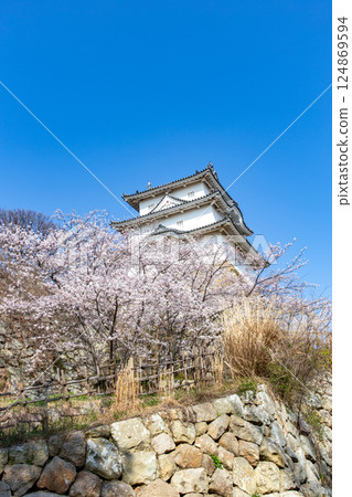 Akashi Castle, Akashi City, Hyogo Prefecture, where the cherry blossoms are in full bloom 124869594