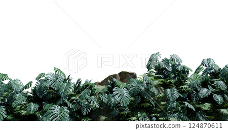 Front View In Rainfores Alpha, 3D illustration Background for advertising and wallpaper in nature and advertising scene. 3D rendering in decorative concept. 124870611